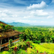 house, trees, viewes, Sky