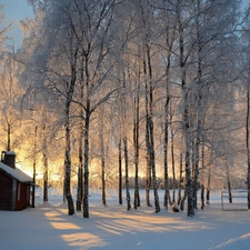 sun, trees, Houses, luminosity, Przebijające, field, viewes, winter, flash, ligh