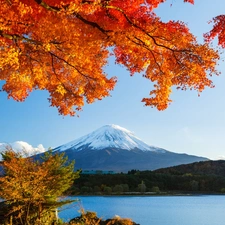 woods, Fuji, viewes, Japan, trees, lake