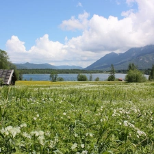 viewes, lake, Home, trees, Meadow