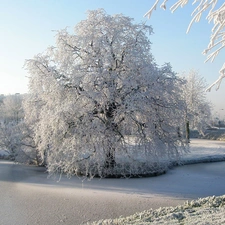 viewes, lake, drifts, trees, snow