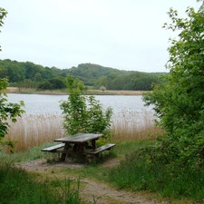 lake, trees, viewes, Bench