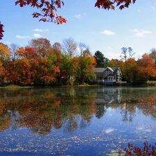 lake, trees, viewes, house