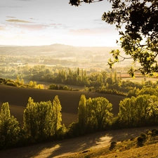 viewes, panorama, Way, trees, field