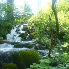 viewes, Plitvice, Stones, trees, waterfall