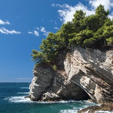 viewes, Rocks, clouds, trees, sea