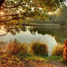 trees, rays, mermaid, sun, River, viewes, sculpture