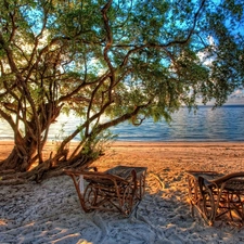 sea, trees, viewes, Beaches