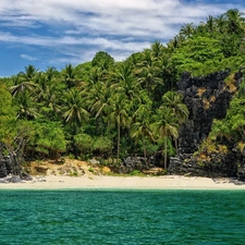 sea, trees, viewes, rocks