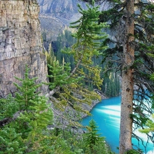 viewes, Softwood, rocks, trees, lake