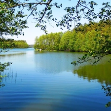 Spring, trees, viewes, lake