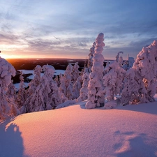 viewes, Great Sunsets, Snowy, trees, winter