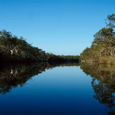 viewes, River, trees