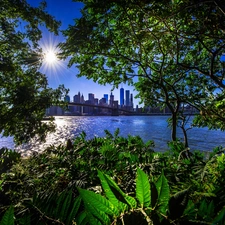 viewes, New York, Sunrise, Brooklyn Bridge, Gulf, trees