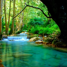 viewes, waterfall, trees