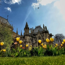 trees, Castle, Sky, Tulips, Old car, viewes, Bird