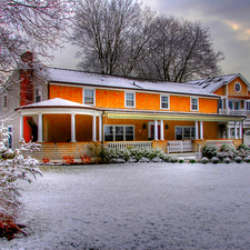 villa, trees, viewes, winter