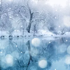 viewes, water, snow, trees, winter