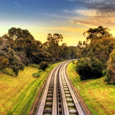 Way, trees, viewes, railway