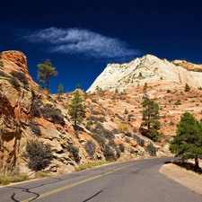 Way, trees, viewes, rocks