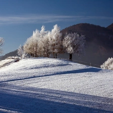 viewes, winter, field, trees, Mountains