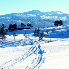 Mountains, Farms, viewes, winter, trees, field