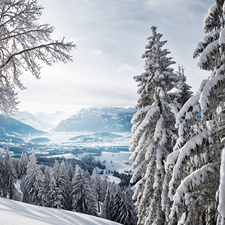 winter, trees, viewes, Mountains