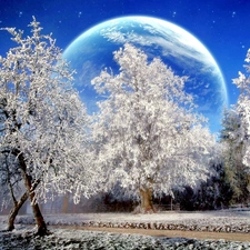 winter, trees, viewes, Planet