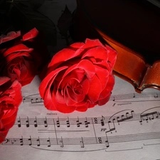 Flowers, Tunes, violin, Roze