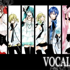 Characters, Vocaloid