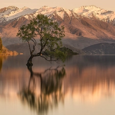 Wanaka Lake, Snowy, reflection, peaks, Mountains, trees, New Zeland