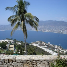 Acapulco, Palm, water, Mexico