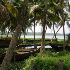 boats, grass, water, Palms