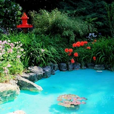 water, Garden, Flowers