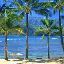 Palms, Hammock, Kauai, water, Aloha State Hawaje