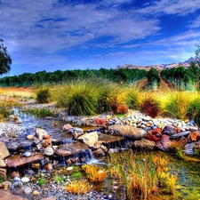 water, Stones, trees, viewes, Sky