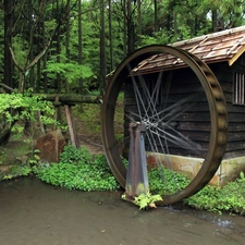 water, forest, Windmill