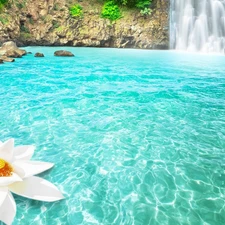 Colourfull Flowers, rocks, waterfall