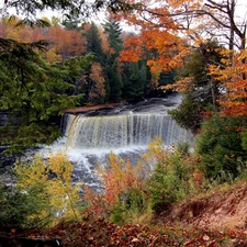 trees, scrub, waterfall, viewes