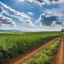 clouds, Field, Way, Field