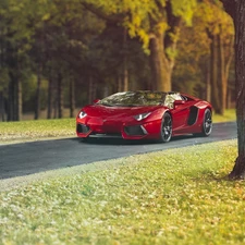 Red, Aventador, Way, Lamborghini