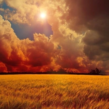 west, Field, clouds