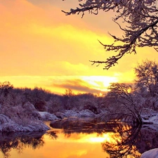 west, sun, trees, viewes, River