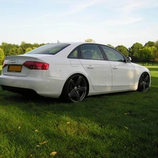 Audi A4 B8, Decreased, White