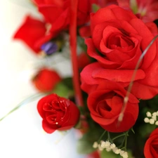 White, background, red, rouge, bouquet