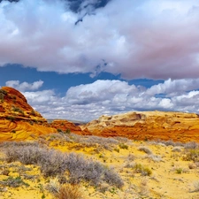 united, Arizona, White, clouds, canyon, state