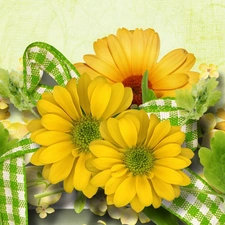 White, ribbon, daisy, green, Yellow