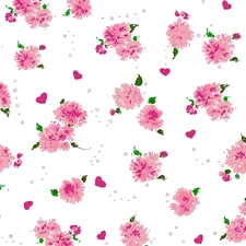 white, tle, Flowers, an, Pink