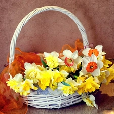 Daffodils, Flowers, basket, narcissus, Spring, wicker, apatite