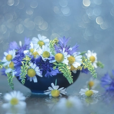 Wildflowers, cornflowers, camomiles